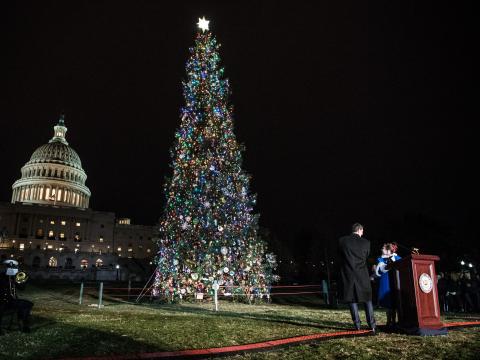 Speaker Paul Ryan and Oregon fourth grader Bridgette Harrington light the Capitol Christmas Tree.