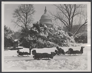 Winter Comes to Washington, D.C.