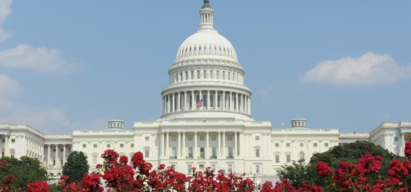 Capitol with red Flowers