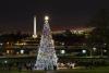 The Capitol Christmas Tree is installed on the West Front Lawn of the U.S. Capitol. 