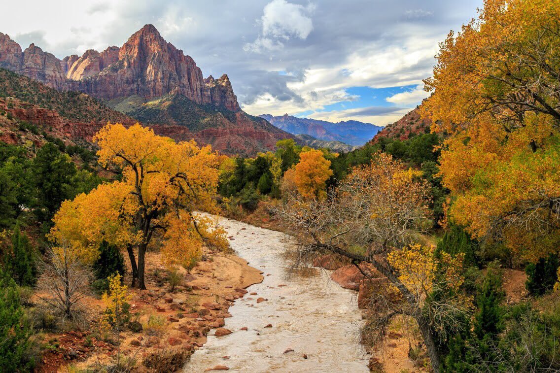 A narrow stream runs by a grove of fall colored trees with a rugged red rock mountain in the background.