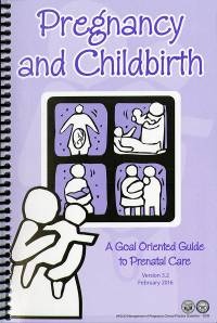 Pregnancy and Childbirth: A Goal Oriented Guide to Prenatal Care