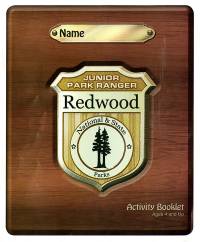 Junior Park Ranger Redwood Activity Book Ages 4 and Up