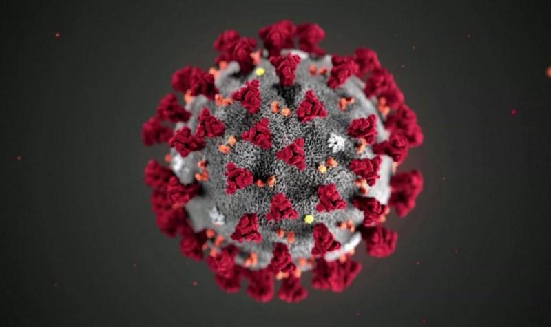 Image of the coronavirus germ. 