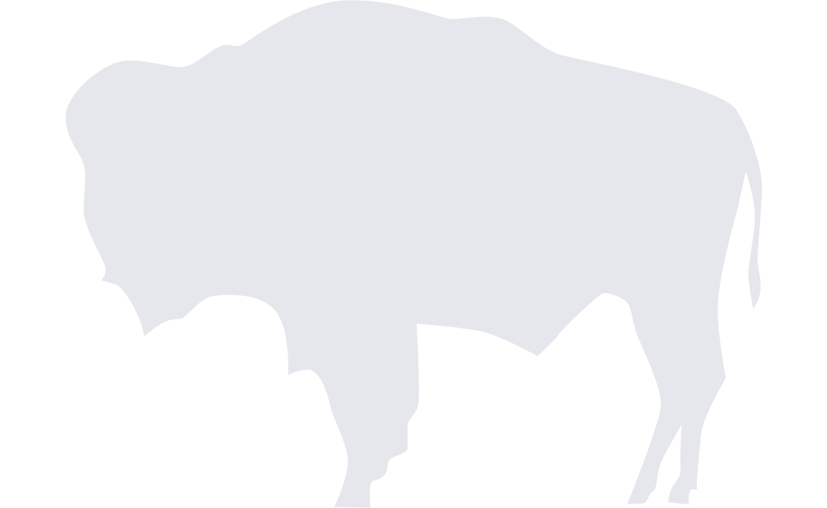 decorative bison