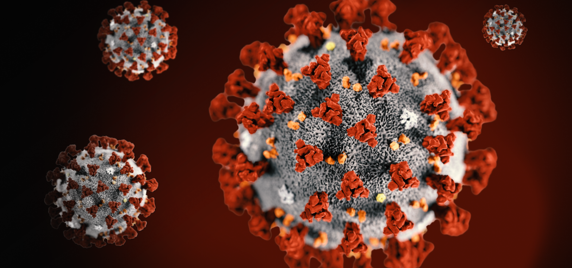 3D rendering of the coronavirus linking to information on the coronavirus