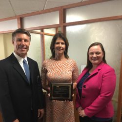 The Illinois Hospital Association named Cheri the 2016 Rural Legislator of the Year. Cheri’s previous work in the healthcare industry led her to become a strong advocate for small and rural hospitals and the services they provide to communities across Illinois.