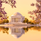 Jefferson Memorial with cherry blossoms
