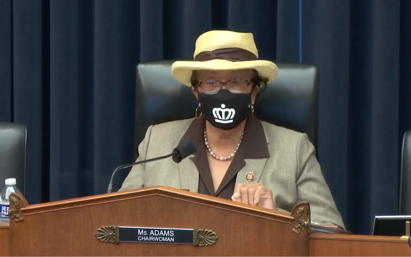 Alma Adams Chairs the Workforce Protections Subcommittee