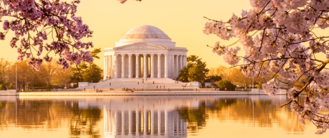Jefferson Memorial with cherry blossoms