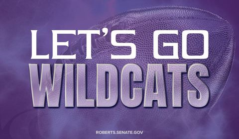 Image may contain: text that says 'LET'SGO GO WILDCATS ROBERTS.SENATE.GOV'