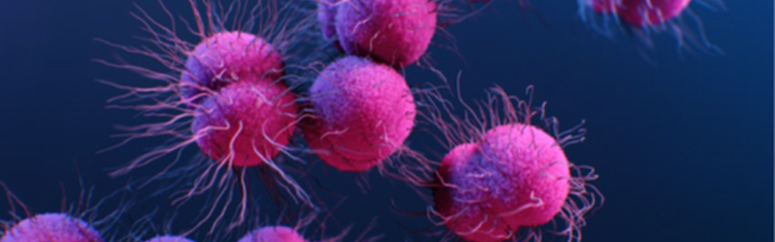 Antibiotic Resistance germs up close