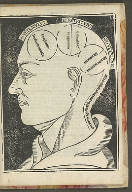 Albertus, De Orlamünde. "Opus Philosophie Naturalis." Brescia, 1490.
