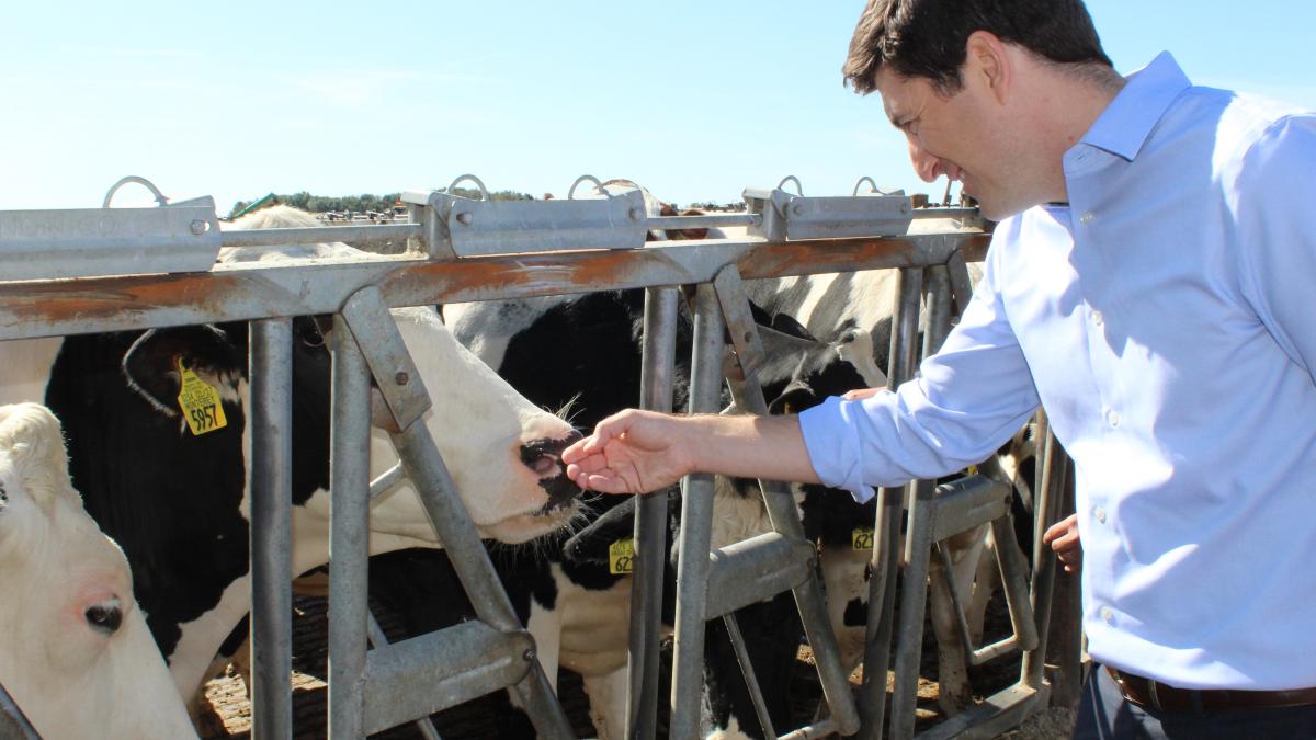 Representative Steil visits dairy farm