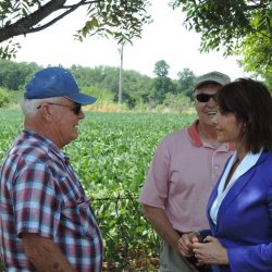 As a member of the House Committee on Agriculture, Cheri is a strong voice for family farmers in our region, making sure their voices are heard on the national level. 