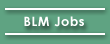 BLM Jobs