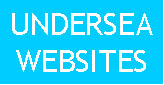 Undersea Websites
