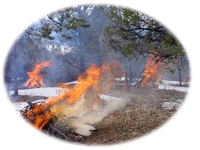 photo of flames near community