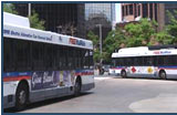 Buses provide public transit options