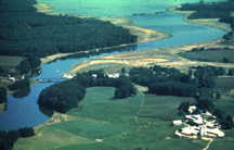Coastal Ecosystem Image