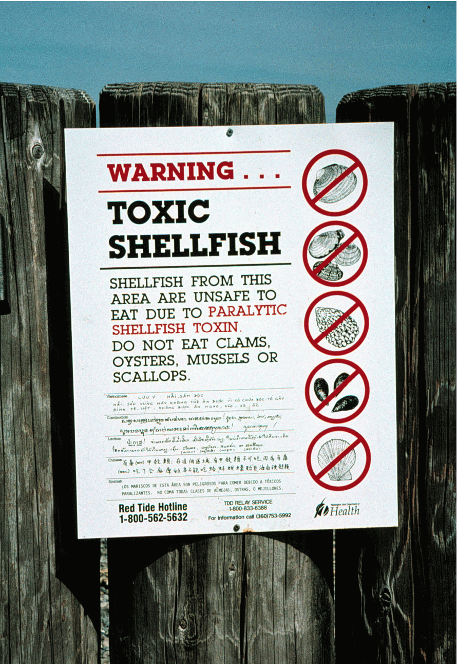 Toxic Shellfish due to harmful algal bloom warning sign