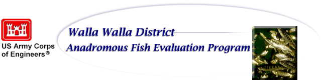 company logo, a stylized red castle with the following text below: US Army Corps of Engineers, Walla Walla District -- Walla 
Walla District Anandromous Fish Evaluation Program with image of Salmon Smolt
