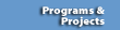 Project programs