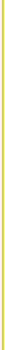 visual element: vertical yellow rule