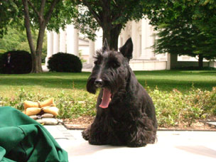 Barney Photo of the Day - May 24, 2004