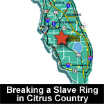 Graphic of the state of Florida that reads Breaking a Slave Ring in Citrus Country