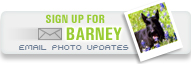 Barney Email Update