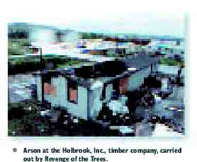 Photograph of Arson at a Washington timber company