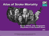 Cover of Stroke Atlas - This links to Interactive State Maps