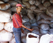 Man with sacs of tea for trade