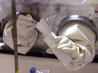 Photograph of suspicious powder being examined in FBI Laboratory