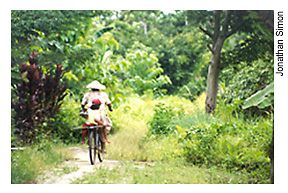 Woman and child riding bicycle through forest