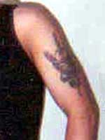 Photograph of eagle with dagger tattoo and the word ADOLFO tattoo