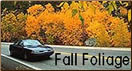 An image of a vehicle driving on a scenic byway with fall foliage colors surrounding the road.