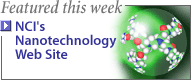 NCI's Nanotechnology Web Site