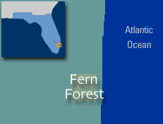map showing location of Fern Forest