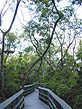 photo of entrance to Fern Forest