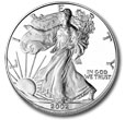 Silver Bullion Coin.