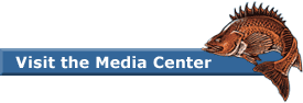 Visit the Media Center