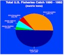 fish value chart